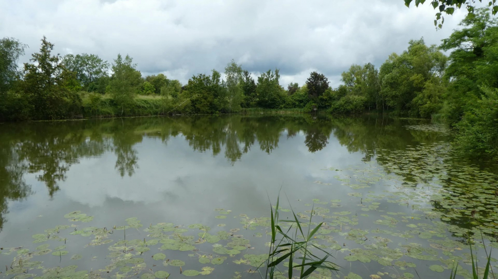 Étangs de pêche à Soissons : Vente propriété avec 2 étangs et terrain de loisirs
